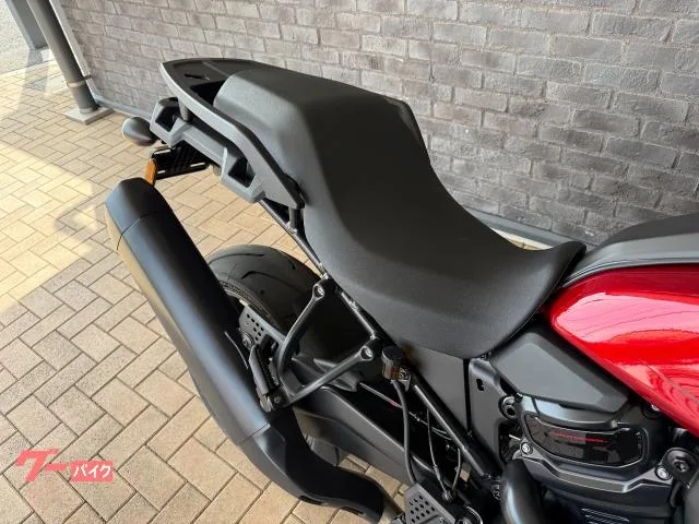 HARLEY-DAVIDSON 1250ST 2025 — миниатюра 2