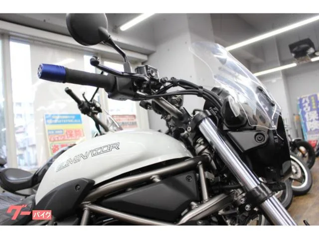 Kawasaki 400 SP 2024 — миниатюра 2