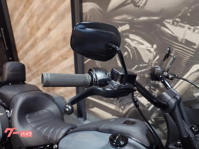 HARLEY-DAVIDSON FXLRST ST 2022 — миниатюра 2