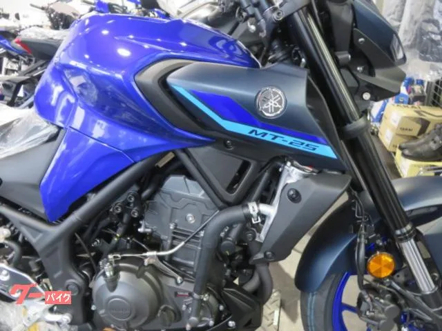 Yamaha MT-25 YSP3 2025 — миниатюра 3