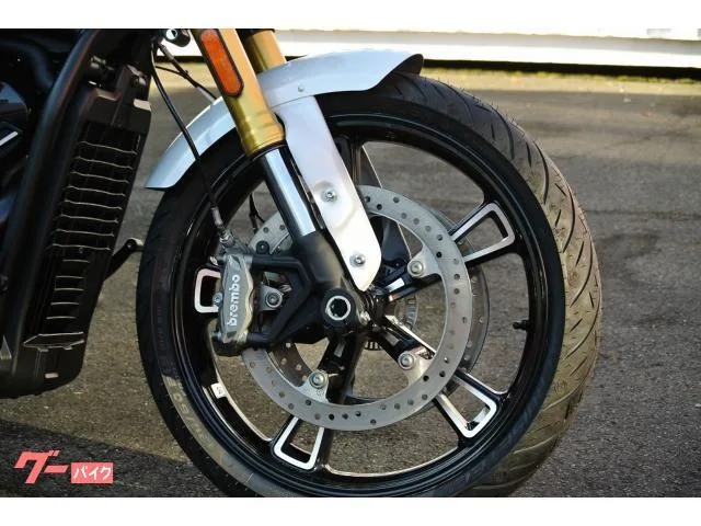 INDIAN 101 2025 — миниатюра 3