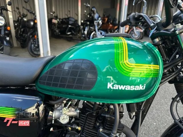 Kawasaki W175 3 2024 — миниатюра 2