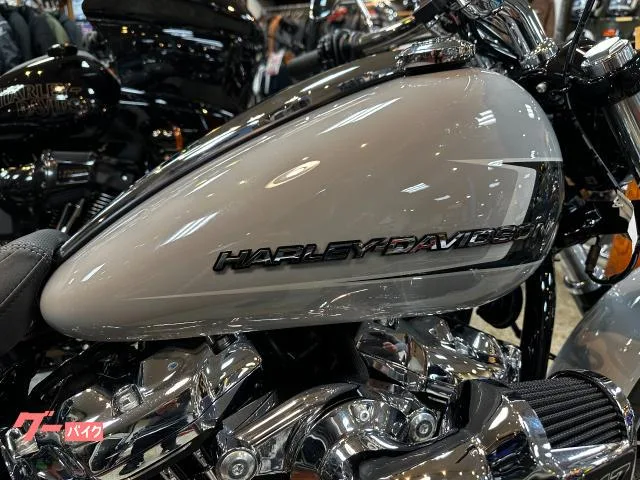 HARLEY-DAVIDSON FXBR 2024 117 2024 — миниатюра 2