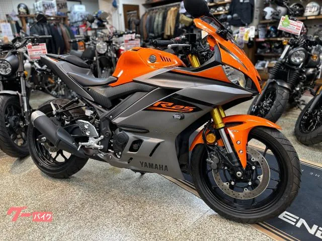 Yamaha YZF-R25 RG74J 2022 LED 3 2022 — фото 1, купить с доставкой в Москву