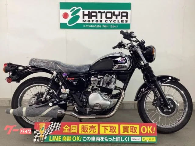 Kawasaki S1 2025 — фото 1, купить с доставкой в Москву