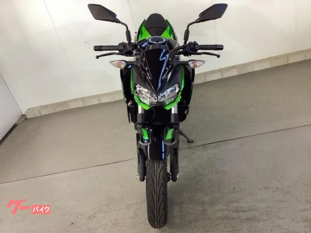 Kawasaki Z250 2023 — миниатюра 3