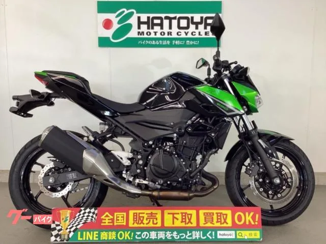 Kawasaki Z250 2023 — фото 1, купить с доставкой в Москву
