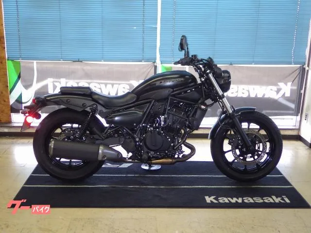 Kawasaki 400 FIETC2.0 2024 — фото 1, купить с доставкой в Москву