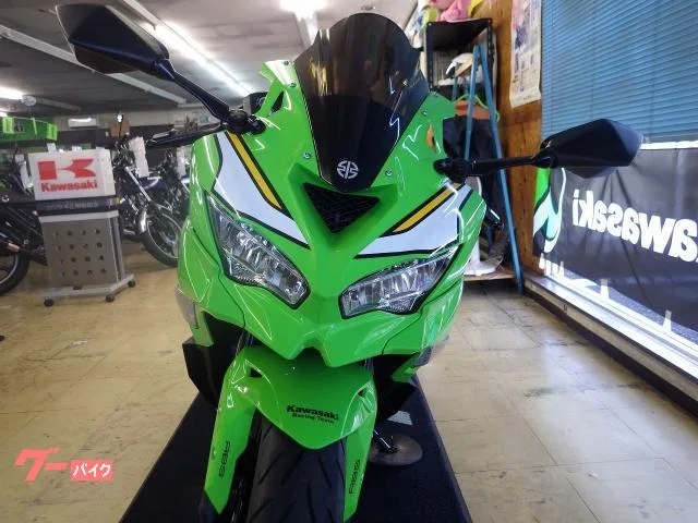 Kawasaki Ninja ZX-4RR KRT FI Daytona 2025 — миниатюра 3