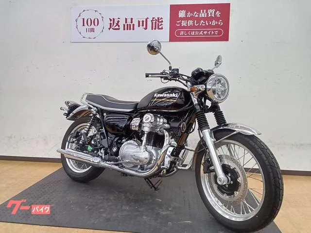 Kawasaki W800 2025 — миниатюра 2
