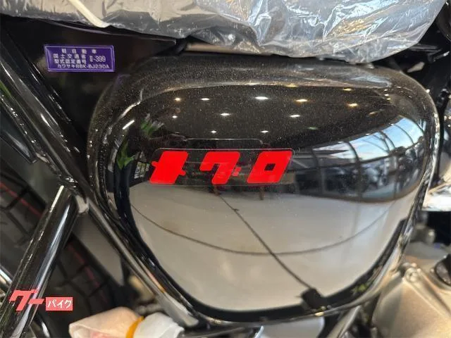 Kawasaki S1 2025 — миниатюра 2