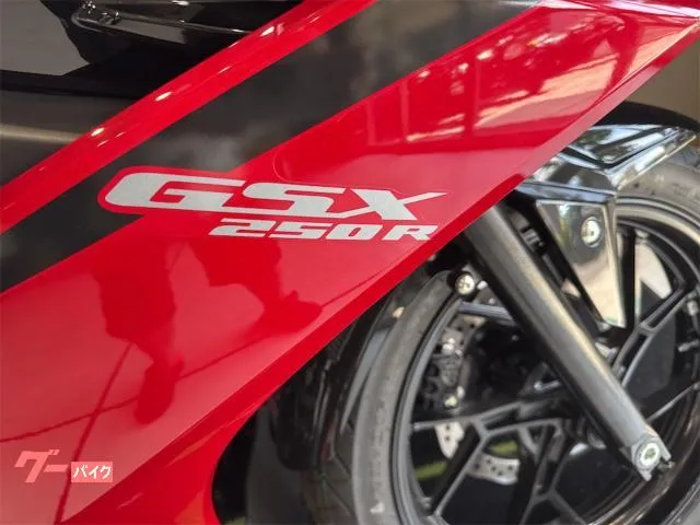Suzuki GSX250R 2025 — миниатюра 3