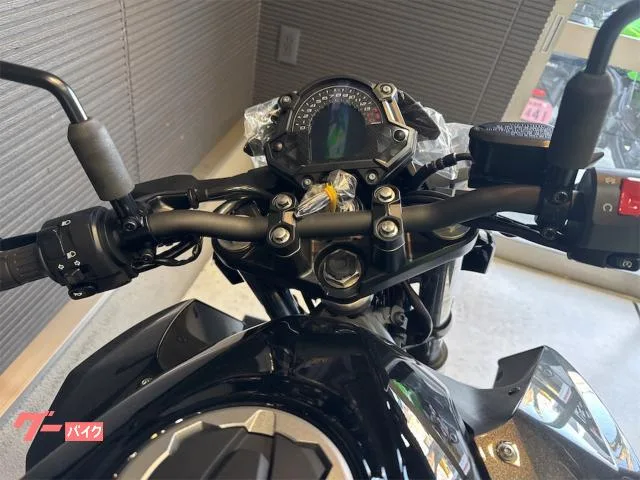Kawasaki Z250 ETC 2026 — миниатюра 3