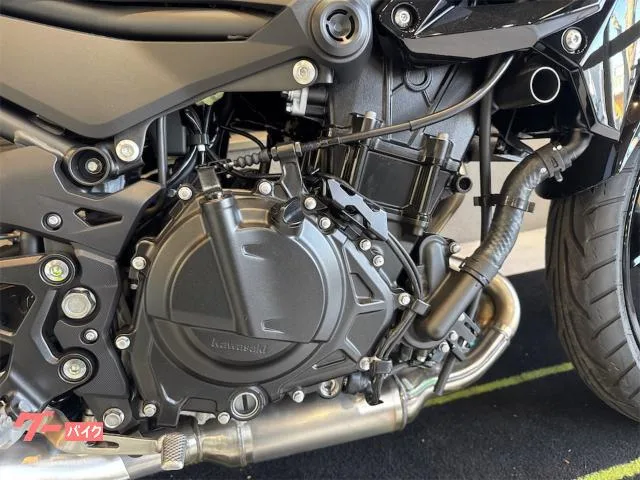 Kawasaki Z250 ETC 2026 — миниатюра 4