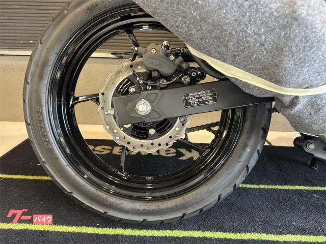 Kawasaki Z250 ETC 2026 — миниатюра 5