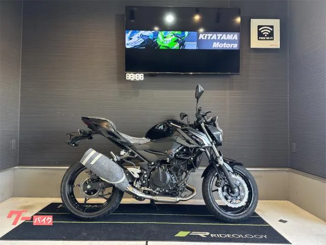 Kawasaki Z250 ETC 2026 — фото 1, купить с доставкой в Москву