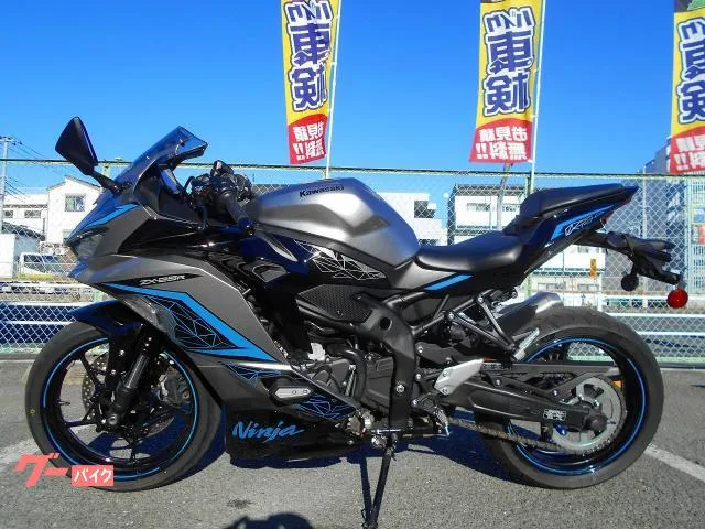 Kawasaki Ninja ZX-25R SE 2024 — миниатюра 2