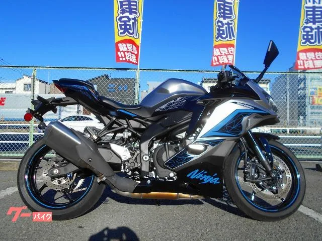 Kawasaki Ninja ZX-25R SE 2024 — миниатюра 3