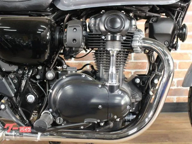 Kawasaki W800 ABS ETC 2023 — миниатюра 5