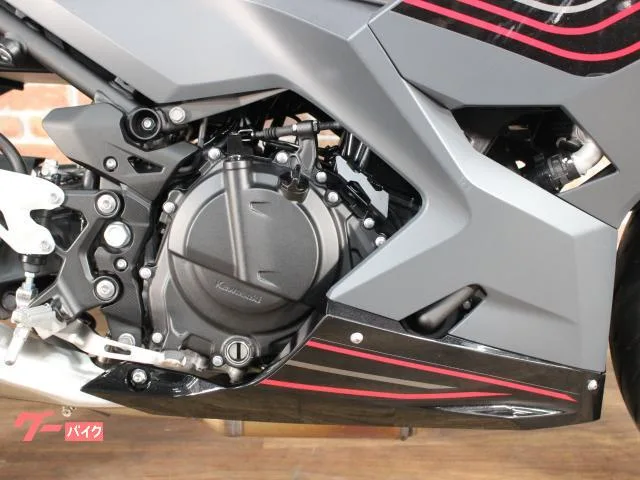 Kawasaki Ninja 400 ABS 2024 — миниатюра 2