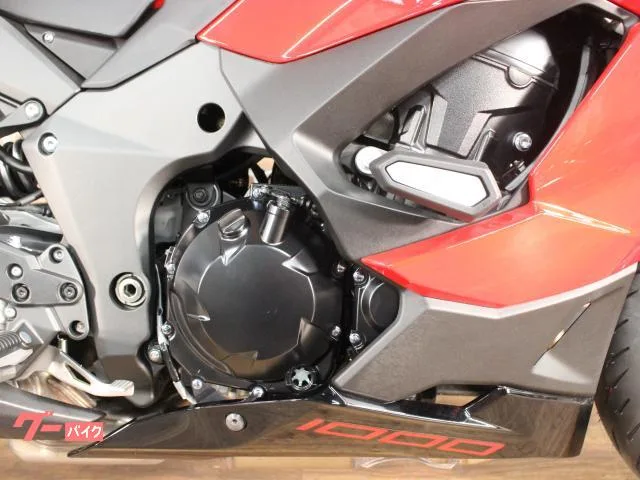 Kawasaki Ninja 1000 SX 40th ABS ETC 2024 — миниатюра 2