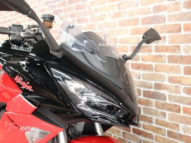 Kawasaki Ninja 1000 SX 40th ABS ETC 2024 — миниатюра 3