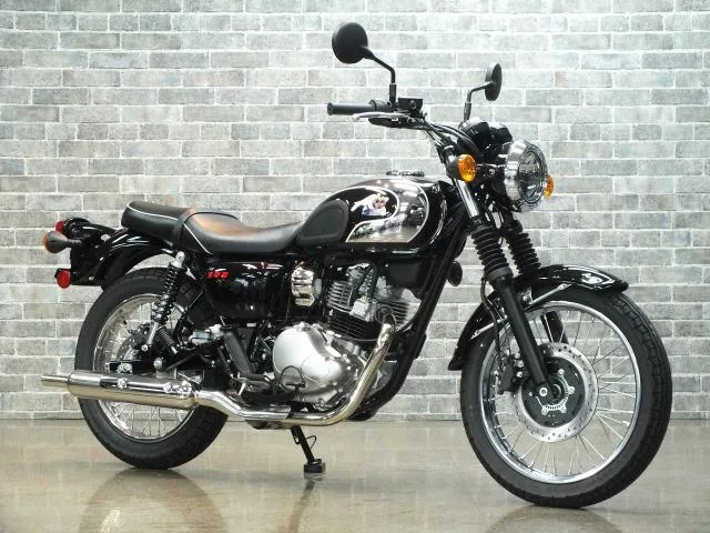 Kawasaki S1 2026 2026 — фото 1, купить с доставкой в Москву
