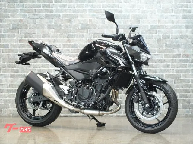 Kawasaki Z250 ABS 2026 — фото 1, купить с доставкой в Москву