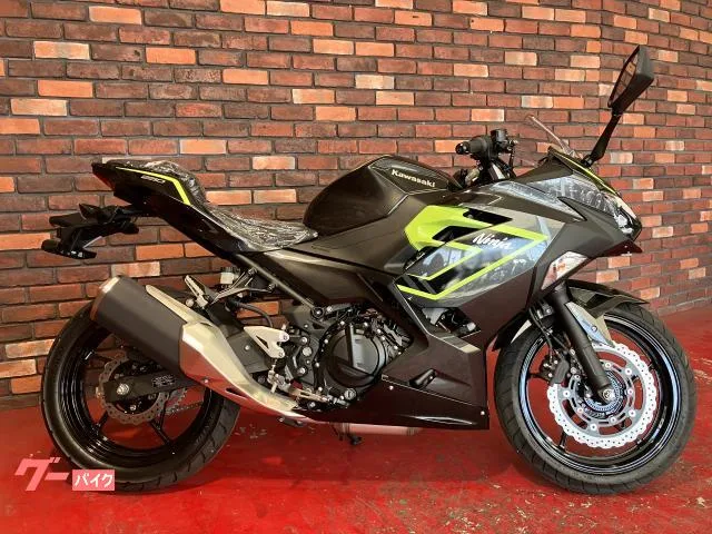 Kawasaki Ninja 250 2026 2026 — миниатюра 2