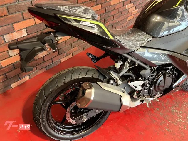 Kawasaki Ninja 250 2026 2026 — миниатюра 4