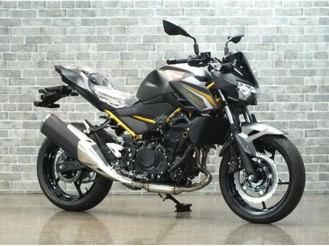 Kawasaki Z400 ABS 2026 2026 — фото 1, купить с доставкой в Москву