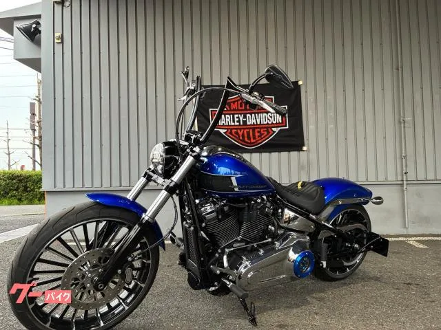 HARLEY-DAVIDSON FXBR 2024 — миниатюра 2