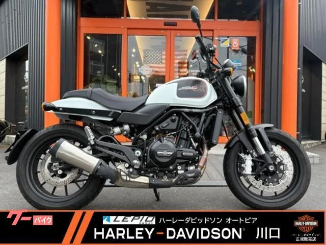HARLEY-DAVIDSON X500 USB 2023 — фото 1, купить с доставкой в Москву