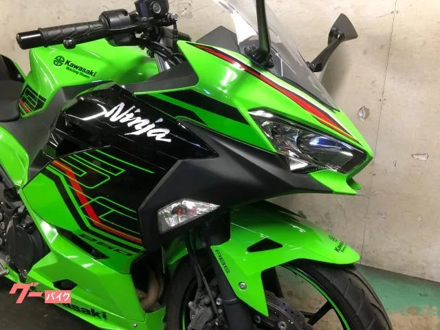 Kawasaki Ninja 250 ABS EX250Y KRT 2023 — миниатюра 3