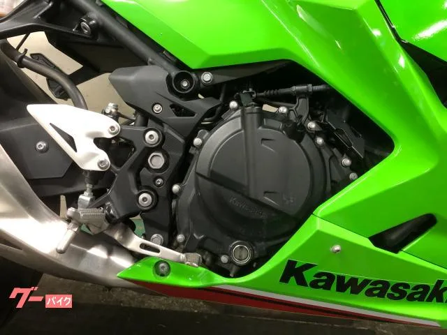 Kawasaki Ninja 250 ABS EX250Y KRT 2023 — миниатюра 5