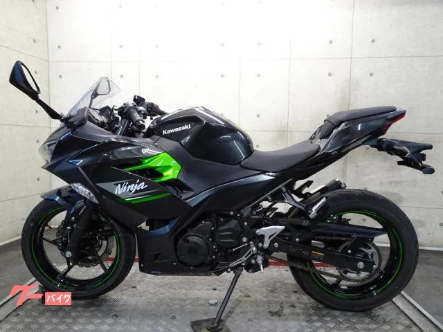 Kawasaki Ninja 250 EX250Y ABS 2 75826 2024 — миниатюра 2