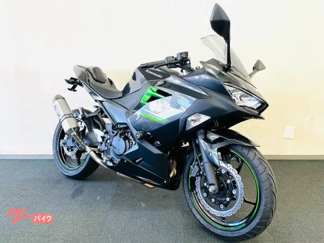 Kawasaki Ninja 250 EX250Y 1 ETC 2024 — миниатюра 3