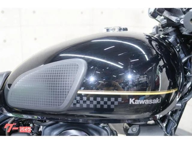 Kawasaki W800 EJ800E 68875 2023 — миниатюра 2