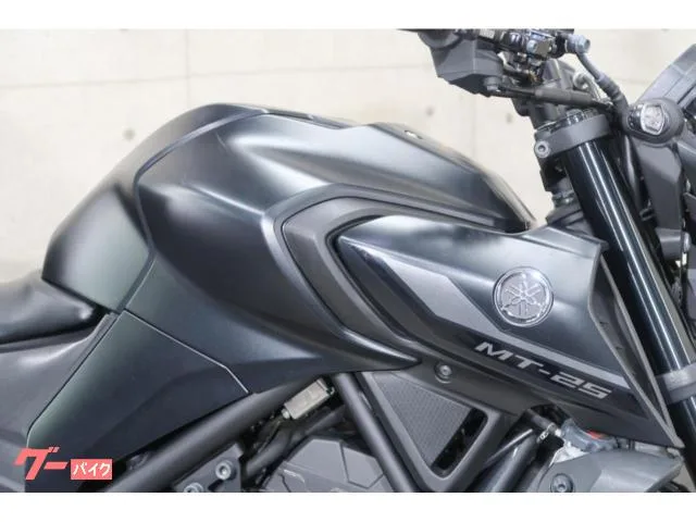 Yamaha MT-25 RG74J ABS LED 76503 2022 — миниатюра 5