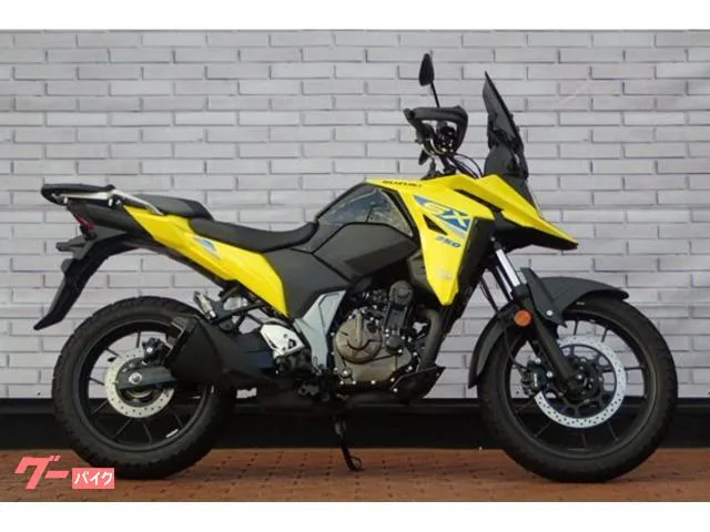 Suzuki V- 250SX ETC 2023 — миниатюра 3