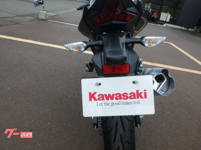Kawasaki Ninja 250 2024 — миниатюра 2