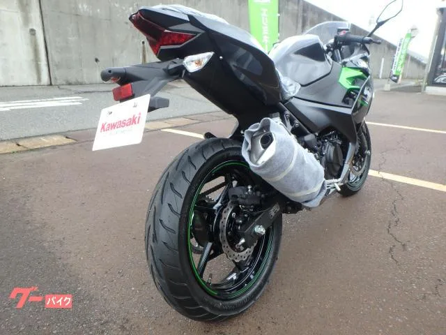 Kawasaki Ninja 250 2024 — миниатюра 3