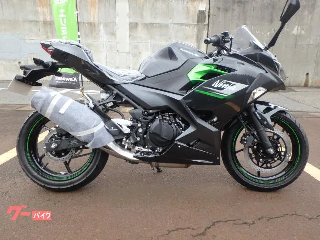 Kawasaki Ninja 250 2024 — фото 1, купить с доставкой в Москву