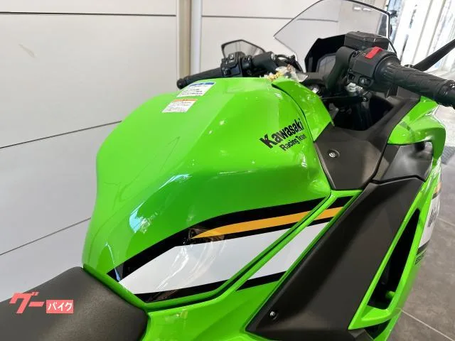Kawasaki Ninja 650 2025 — миниатюра 2