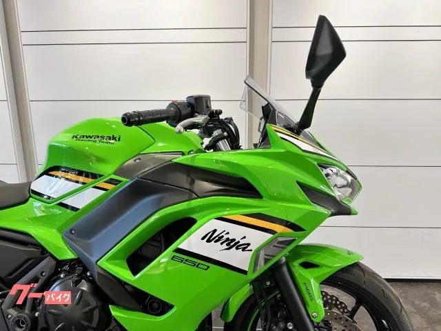 Kawasaki Ninja 650 2025 — миниатюра 4