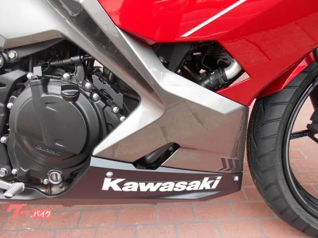 Kawasaki Ninja 250 EX250P 2023 — миниатюра 2