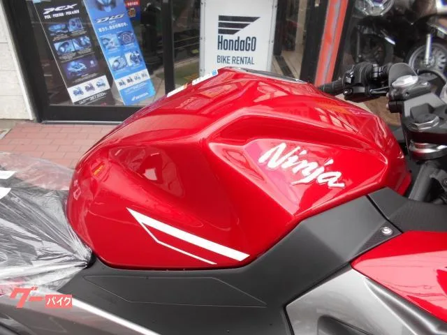 Kawasaki Ninja 250 EX250P 2023 — миниатюра 4