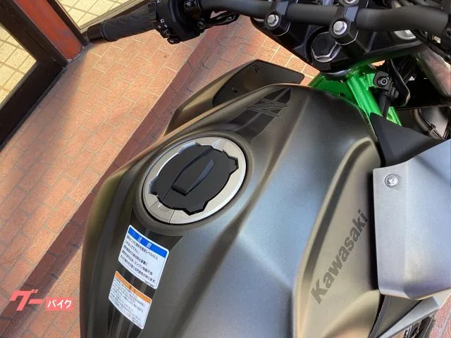 Kawasaki Z250 EX250Y 2025 — миниатюра 2