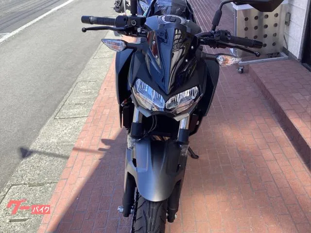 Kawasaki Z250 EX250Y 2025 — миниатюра 3