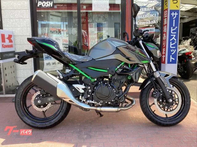Kawasaki Z250 EX250Y 2025 — фото 1, купить с доставкой в Москву